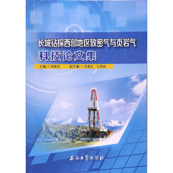 中国石油石化20世界杯买球平台13年01期